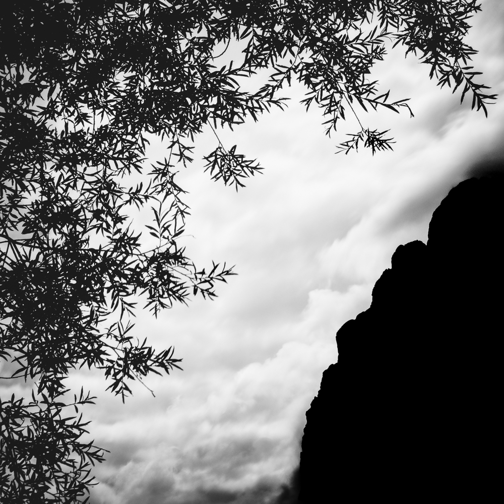 Forms of Xeis - 2010-2023