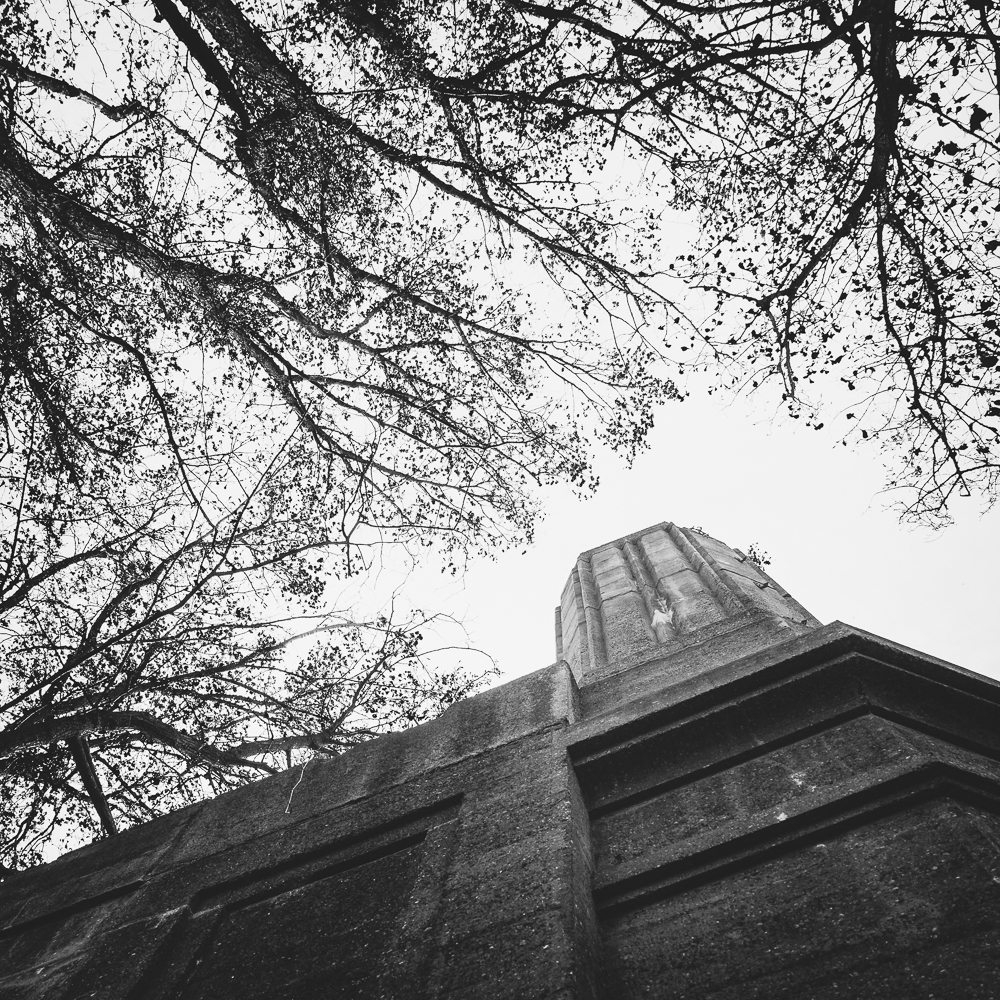 Natur findet Stadt - 2002-2024