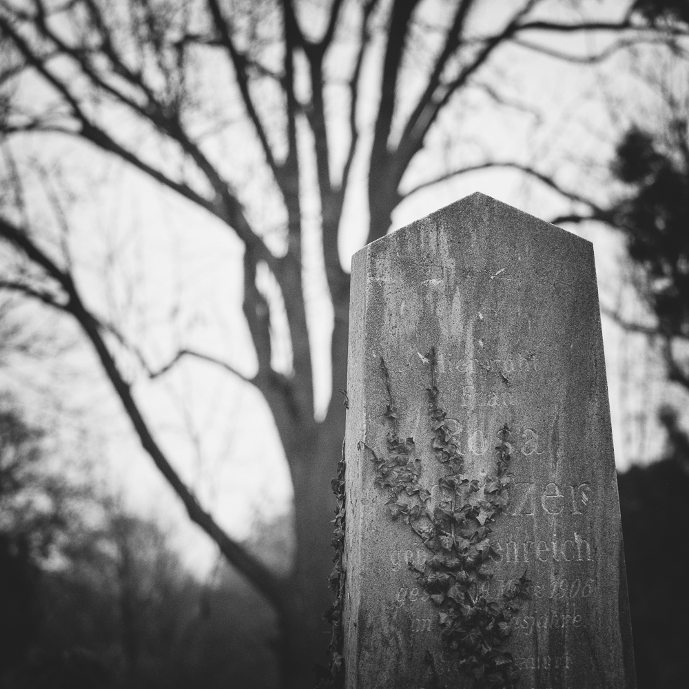 Wiener Zentralfriedhof - 2015-2024