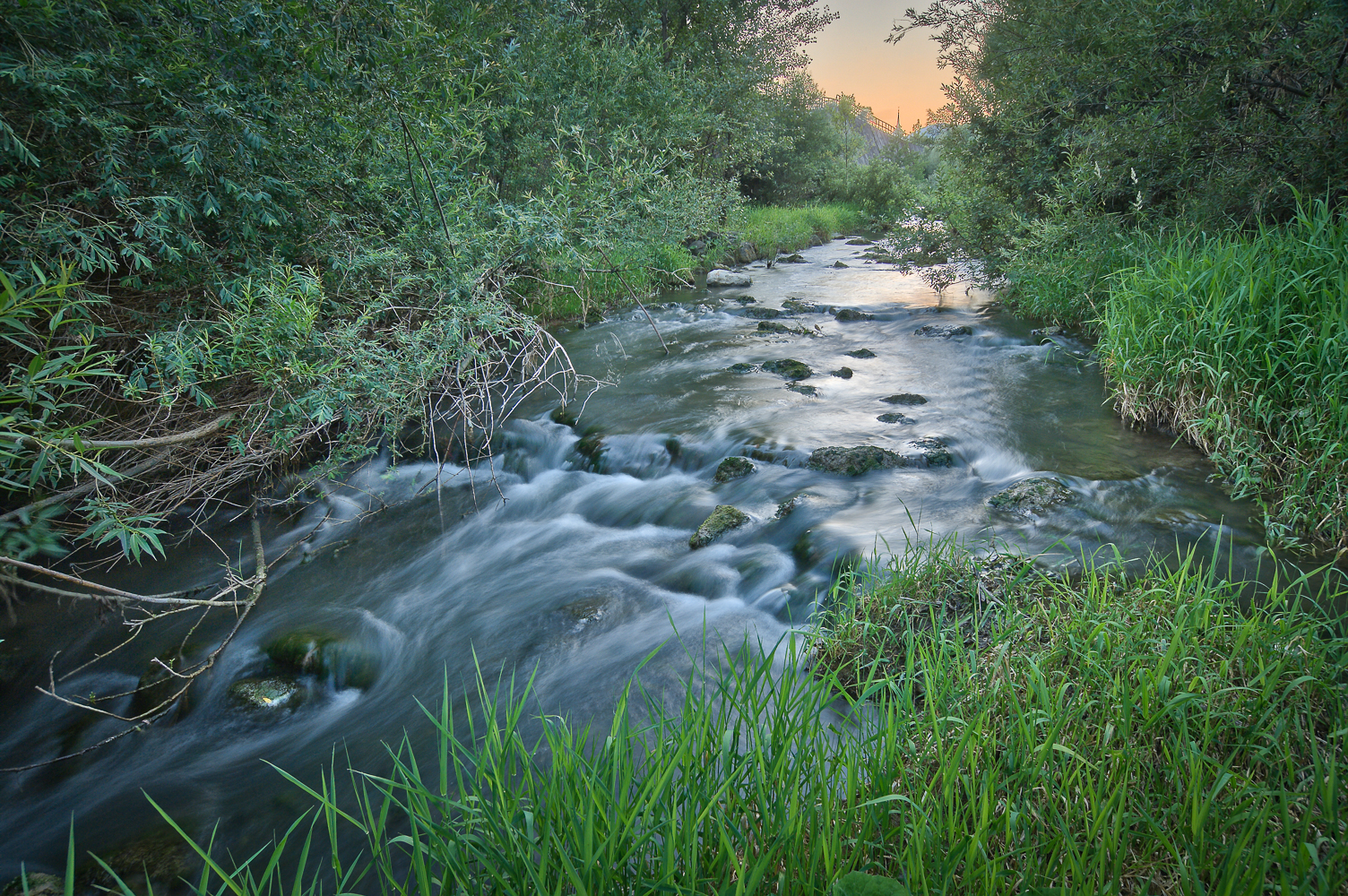 Wienfluss/Mauerbach, oberhalb des Nikolaisteg, flussaufwärts gesehen, 1140 Wien. 2010 Kat. No.D2025-149
