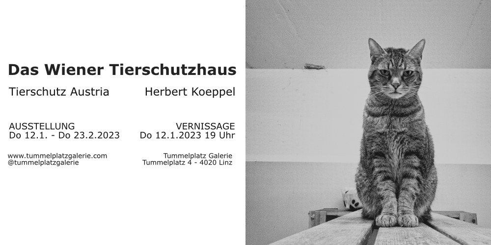 Ausstellung %22Das Wiener Wiener Tierschutzhaus%22.jpg