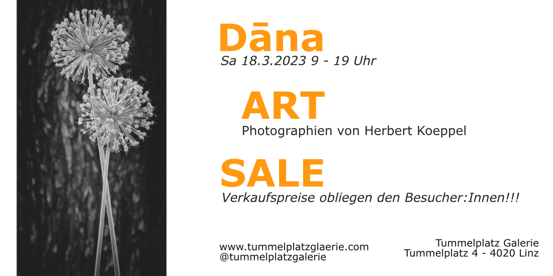 dana Art Sale - photographien von herbert koeppel.jpg