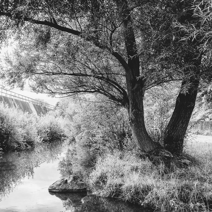 Monka Hartl - Den Musen reicht es, Sie fotografieren selber und stellen sich vor...