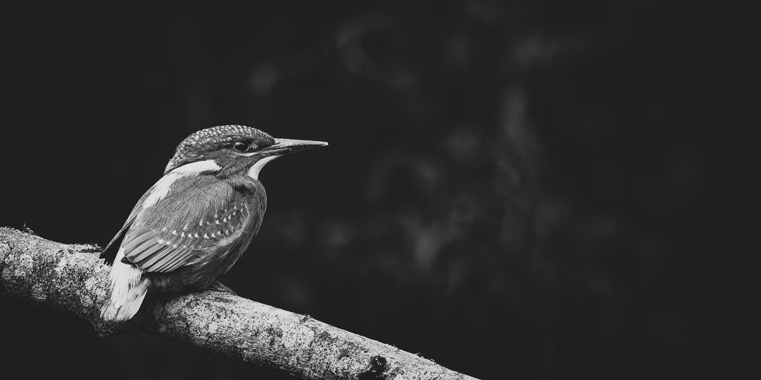 Pause – Ferienmodus eingeschaltet / Blog