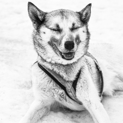 Ausgabe #23 - Gratis Print des Monats