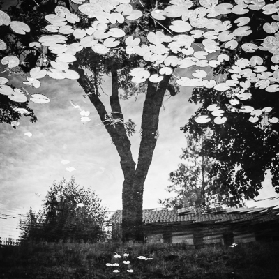 Neue Prints - Nicht Rhein II