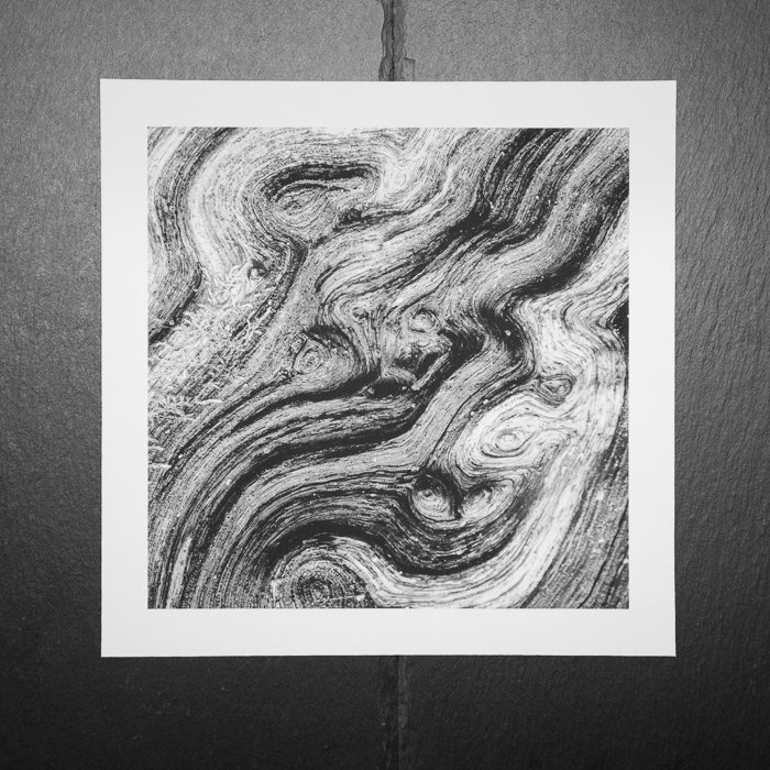 Recent Work / Neue Print - Ein alter Baumstamm 