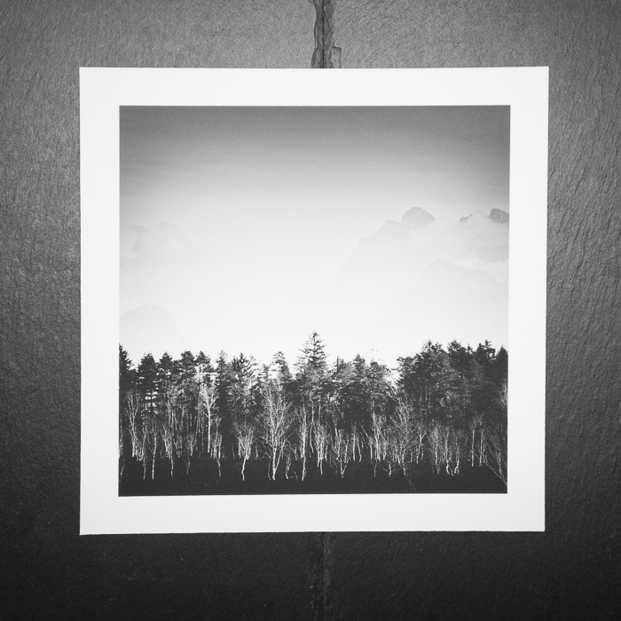 Recent Work / Neue Print - Blick über ein Moor