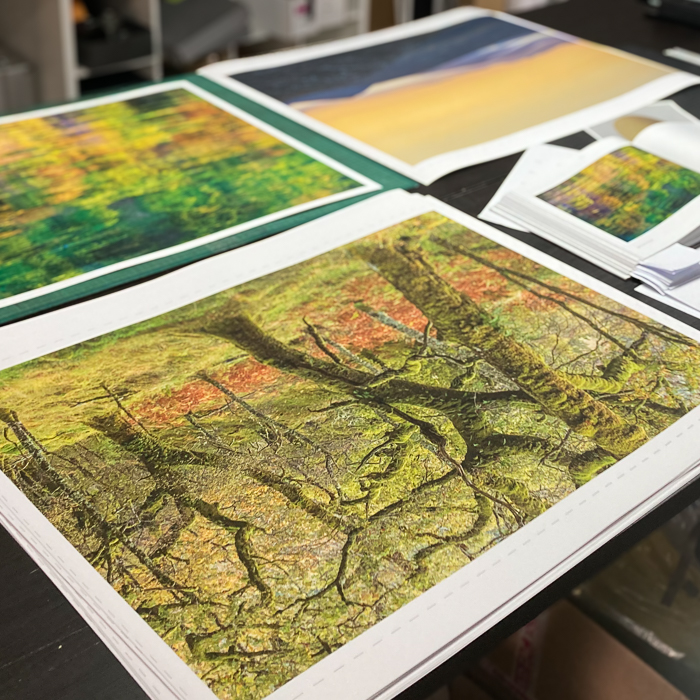 Fotodruckerei - FOKUS Galerie Admont - Fragile – Birds, Eggs and Habitats - Colin Prior