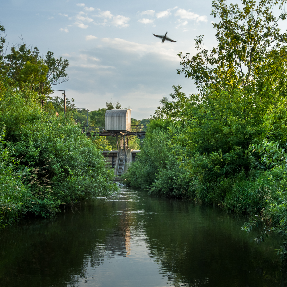 Fototour Wienfluss.Erinnerungen am Juni