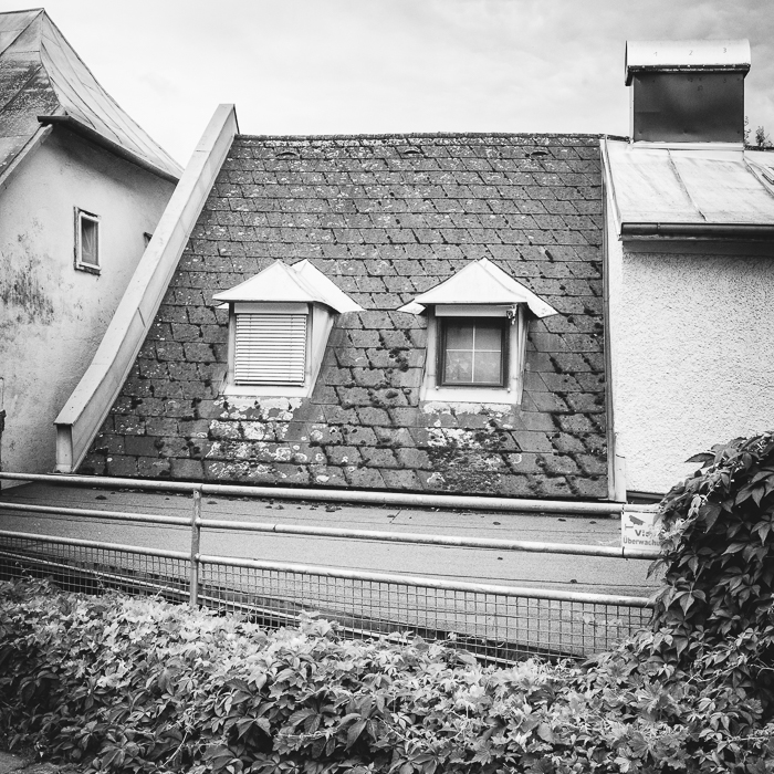 Im Rahmen der FotoMesse 2026 bei Foto Kücher Linz 29.5. - 30.5.2026 - Linza.Hatscha Alt-Urfahr (Kostenlos)