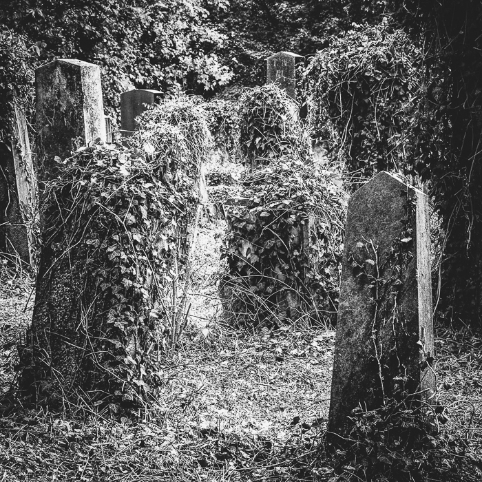 Endstation Zentralfriedhof - Workshop 