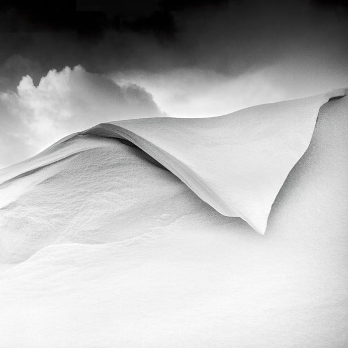 Gratis Print - Jänner  2026 / Ausgabe #22