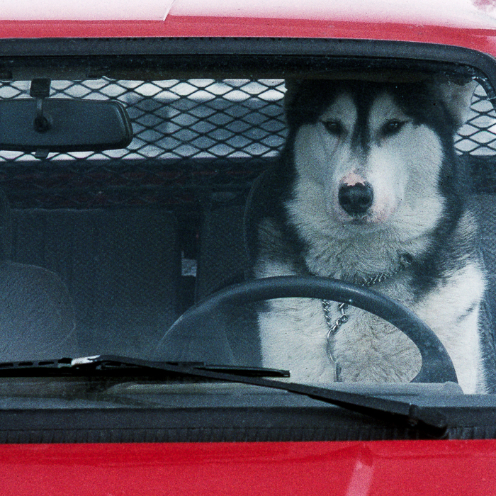 Gratis Print - August 2025 / Ausgabe 17