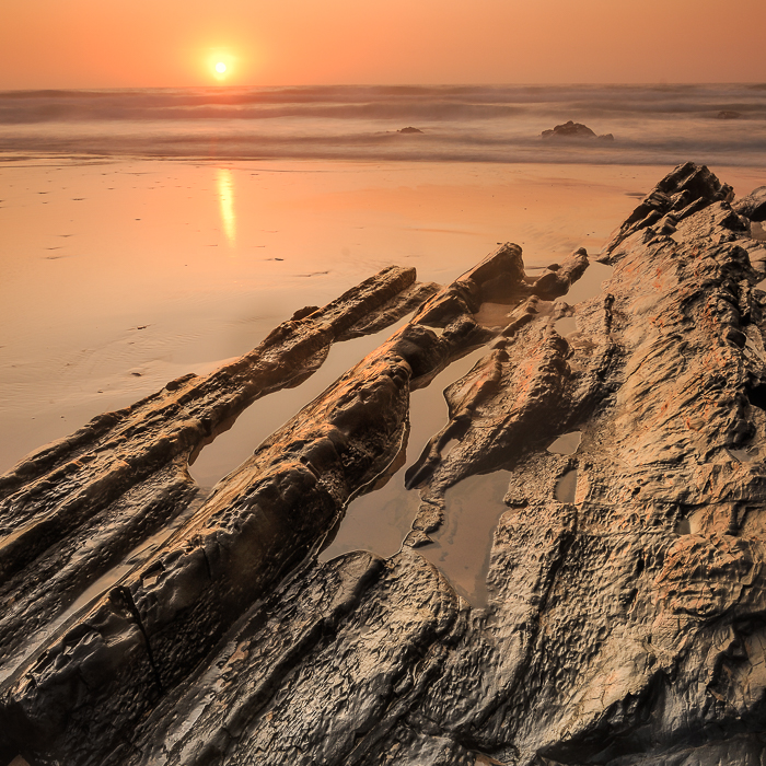 Gratis Print - August 2024 / Ausgabe 5