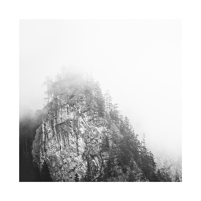 Print Felsen mit Bäumen im Nebel, Region Nationalpark Gesäuse, Austria
Kat. No. D335 / 2016