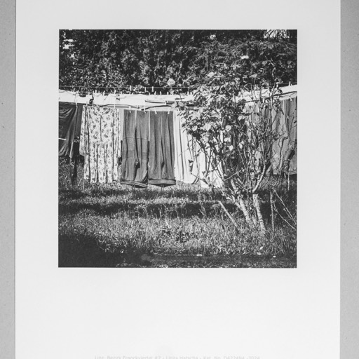 Linz, Bezirk Franckviertel #8 - Linza Hatscha - Kat. No. D4224114 - 2024 