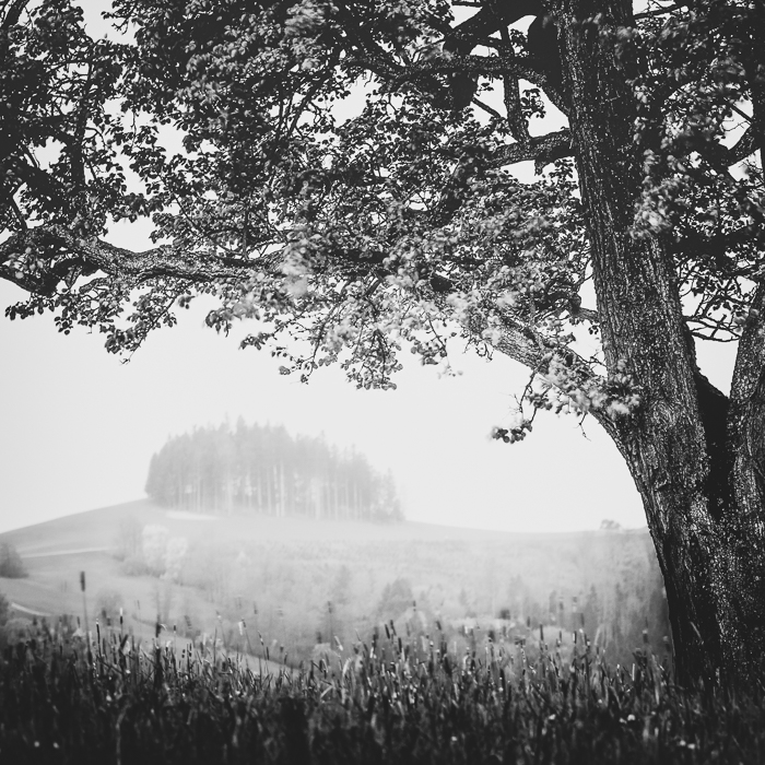 Landschaftsfotografie im Garten Mostviertel
