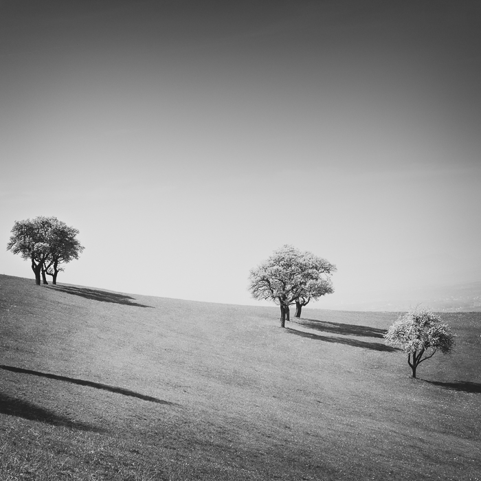 Landschaftsfotografie im Garten Mostviertel
