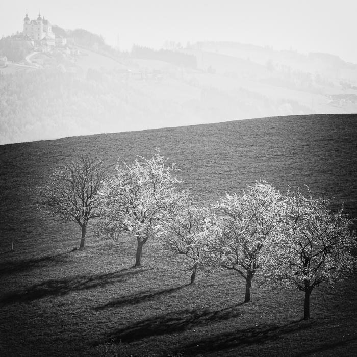 Landschaftsfotografie im Garten Mostviertel
