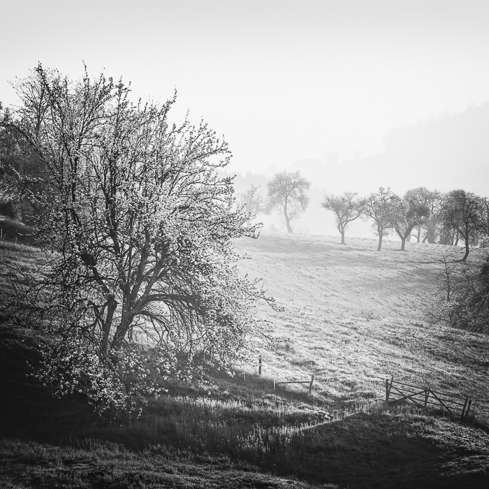 Landschaftsfotografie im Garten Mostviertel
