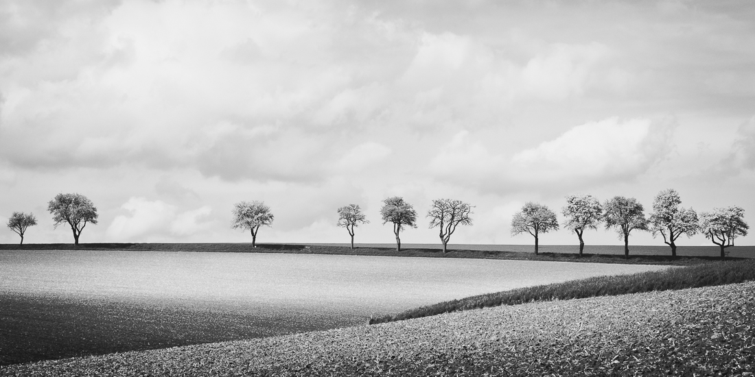 Landschaftsfotografie im Garten Mostviertel
