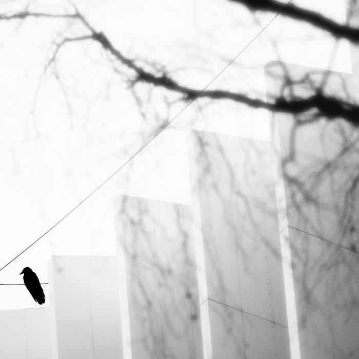 Wie Bilder wirken - ANTON BRUCKNER PRIVATUNIVERSITÄT STUDY #1 · 2018 · KAT. NO. D662